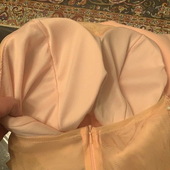 Hanieh Light Pink Evening Lace And Embroidered Midi Dress Size 3 - Picture 10 of 12